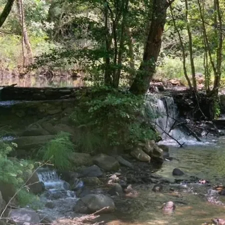 Guest house Castelo Do Mau Vizinho *