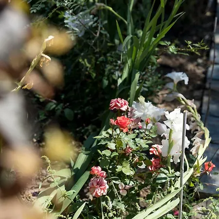 Castelo Do Mau Vizinho * Orjais