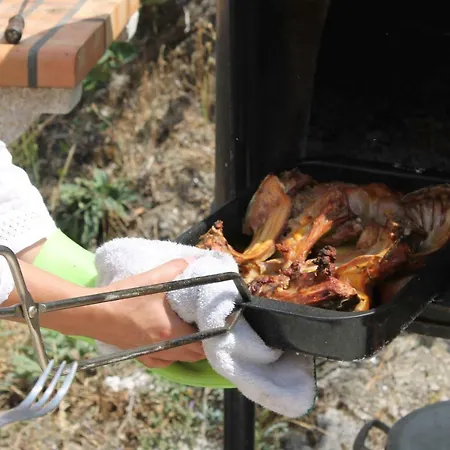 Guest house Castelo Do Mau Vizinho *