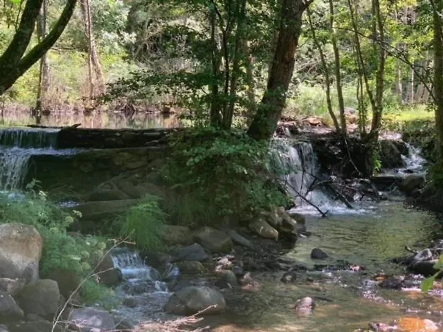 Casa de hóspedes Castelo Do Mau Vizinho *