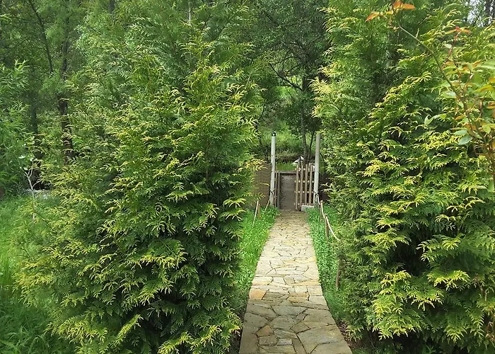 Castelo Do Mau Vizinho