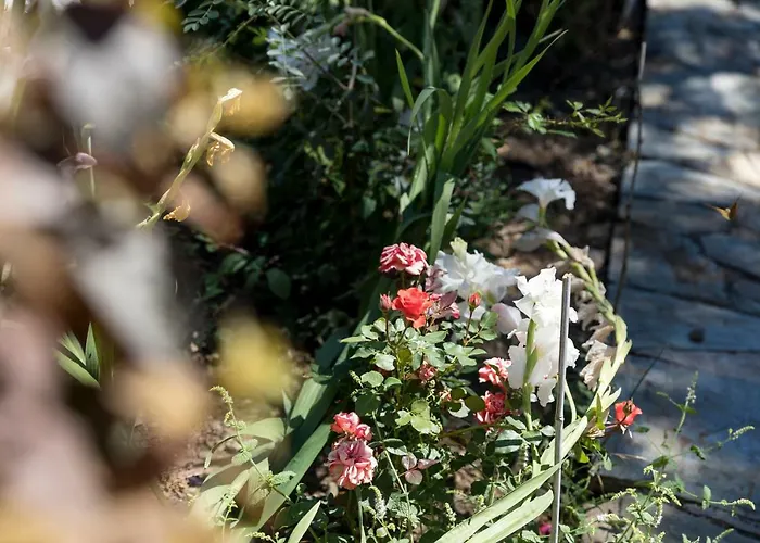 Castelo Do Mau Vizinho * Urjais