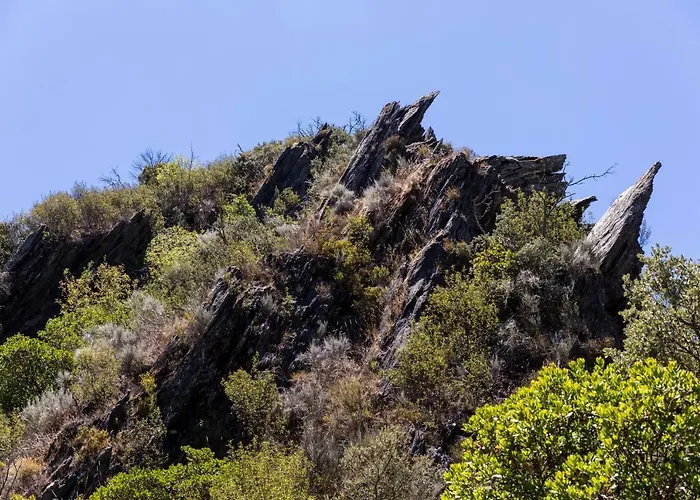 Πανσιόν Castelo Do Mau Vizinho Orjais